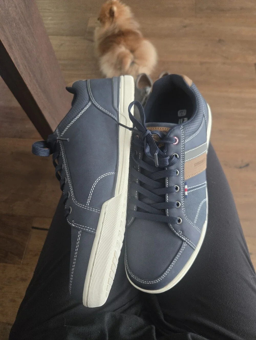 Arrigobello Men's Casual Navy Lace-Up Sneakers